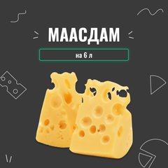 Закваска для сыра Маасдам на 6 л 4030 фото