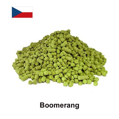 Хмель Бумеранг (Boomerang), α-11% 16049 фото