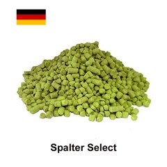 Хмель Шпальтер Селект (Spalter Select), α-5,1% 1110 фото