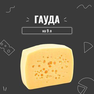 Закваска для сыра Гауда на 9 л (3 шт. &times; 3 л) 4012 фото
