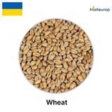 Солод Wheat (пшеничный), 1 кг 1057 фото