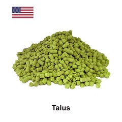 Хмель Талус (Talus), α-8,0% 16033 фото