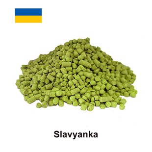 Хміль Слов'янка (Slavyanka) α-4,3% 1221 фото