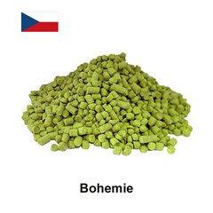 Хміль Богемія (Bohemie) α-7% 16048 фото